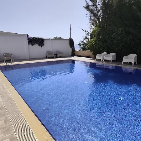 Seascape 501 لارنكا